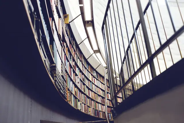 Tall curved bookshelves in a modern library